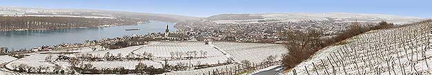 Nierstein am Rhein, Rheinhessen, gefhrte Glhwein-Wanderung  Fackelwanderung mit Glhwein verkosten im Weinberg.