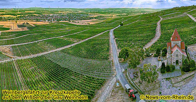 Glhweinfahrt zum Wiberg, der zweithchsten Erhebung in Rheinhessen Rheinhessen (bei Gau-Weinheim).