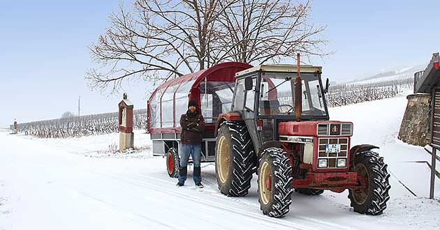 Glhweinfahrt im Winter mit Glhweinprobe im Weinberg